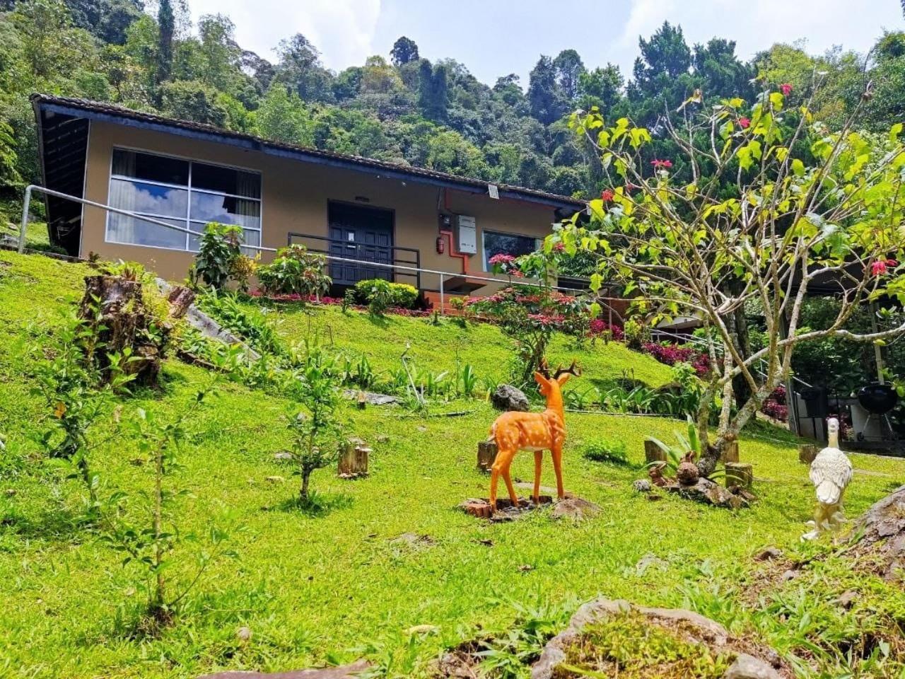 J Residence Kundasang Экстерьер фото